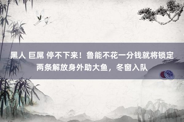 黑人 巨屌 停不下来！鲁能不花一分钱就将锁定两条解放身外助大鱼，冬窗入队