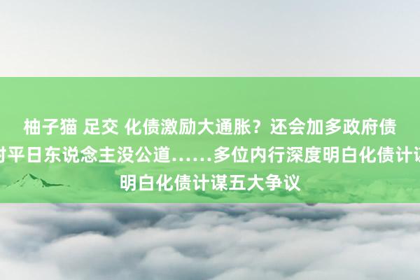 柚子猫 足交 化债激励大通胀？还会加多政府债务风险？对平日东说念主没公道……多位内行深度明白化债计谋五大争议