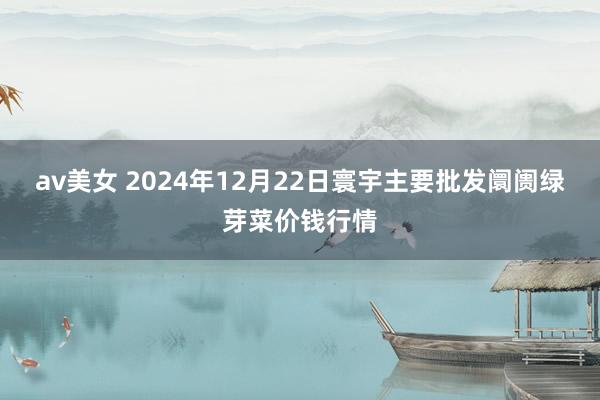 av美女 2024年12月22日寰宇主要批发阛阓绿芽菜价钱行情