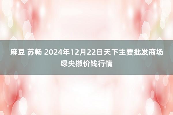 麻豆 苏畅 2024年12月22日天下主要批发商场绿尖椒价钱行情