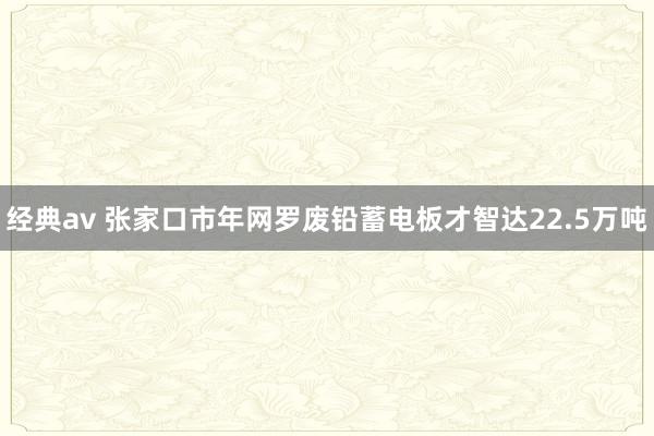 经典av 张家口市年网罗废铅蓄电板才智达22.5万吨