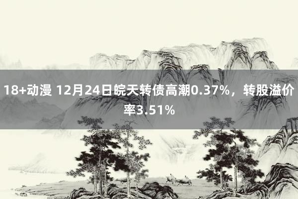 18+动漫 12月24日皖天转债高潮0.37%，转股溢价率3.51%