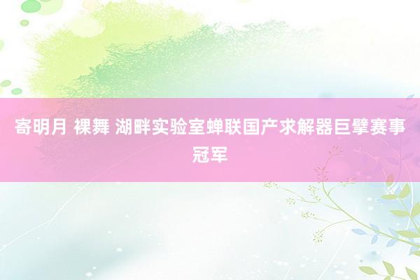 寄明月 裸舞 湖畔实验室蝉联国产求解器巨擘赛事冠军